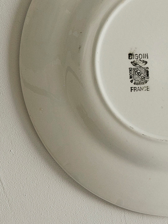 Digoin Sarreguemines “Plate 230mm”   #107