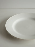Digoin Sarreguemines “Plate 230mm”   #107