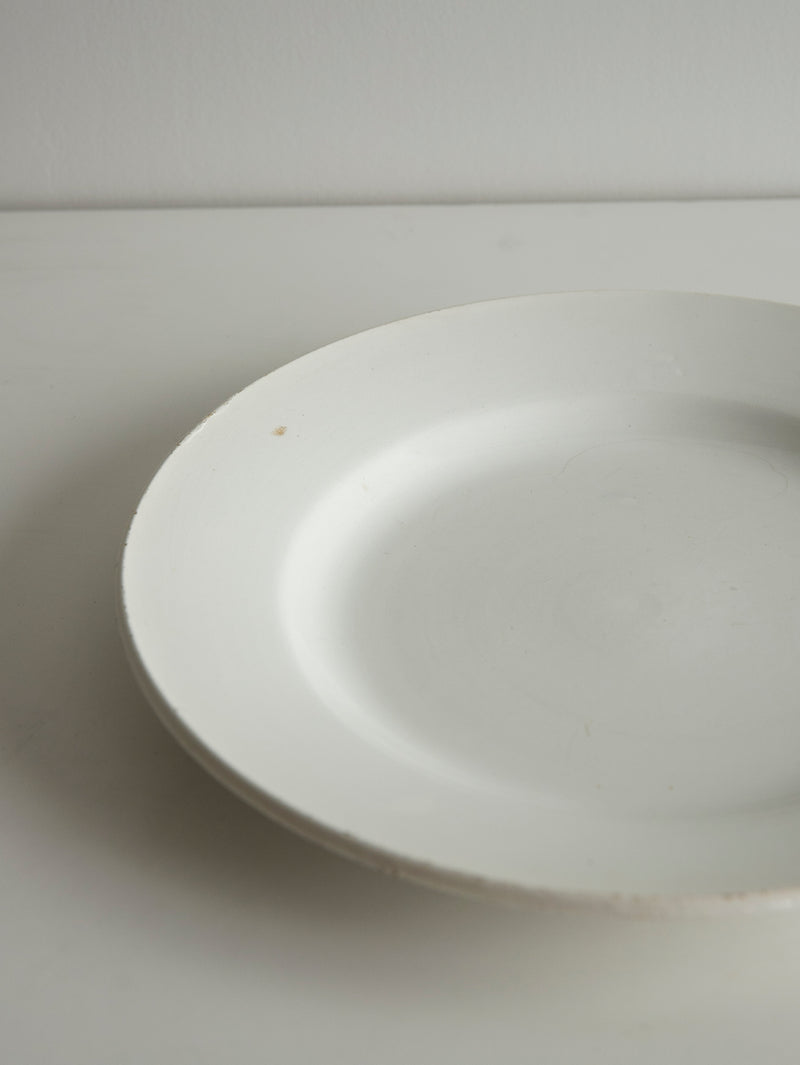 Digoin Sarreguemines “Plate 230mm”   #107