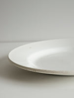 Digoin Sarreguemines “Plate 230mm”   #107