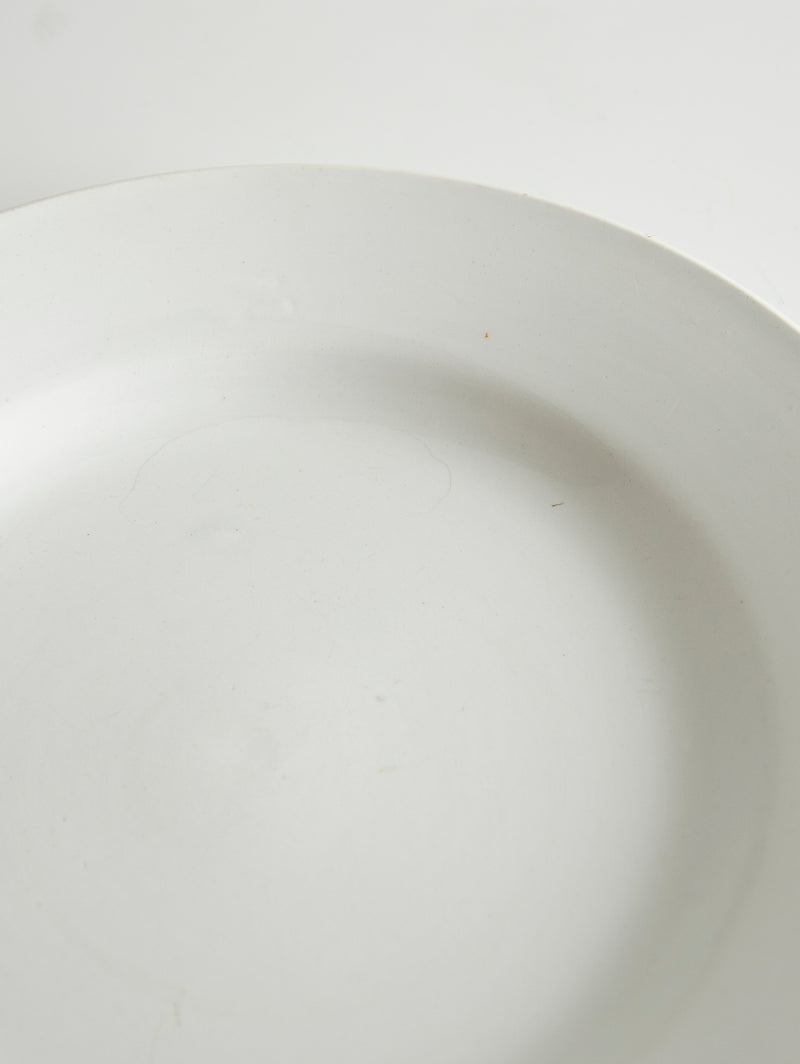 Digoin Sarreguemines “Plate 230mm”   #107