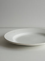 Digoin Sarreguemines “Plate 230mm”   #107
