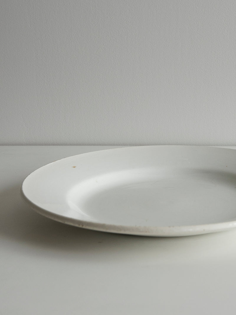 Digoin Sarreguemines “Plate 230mm”   #107