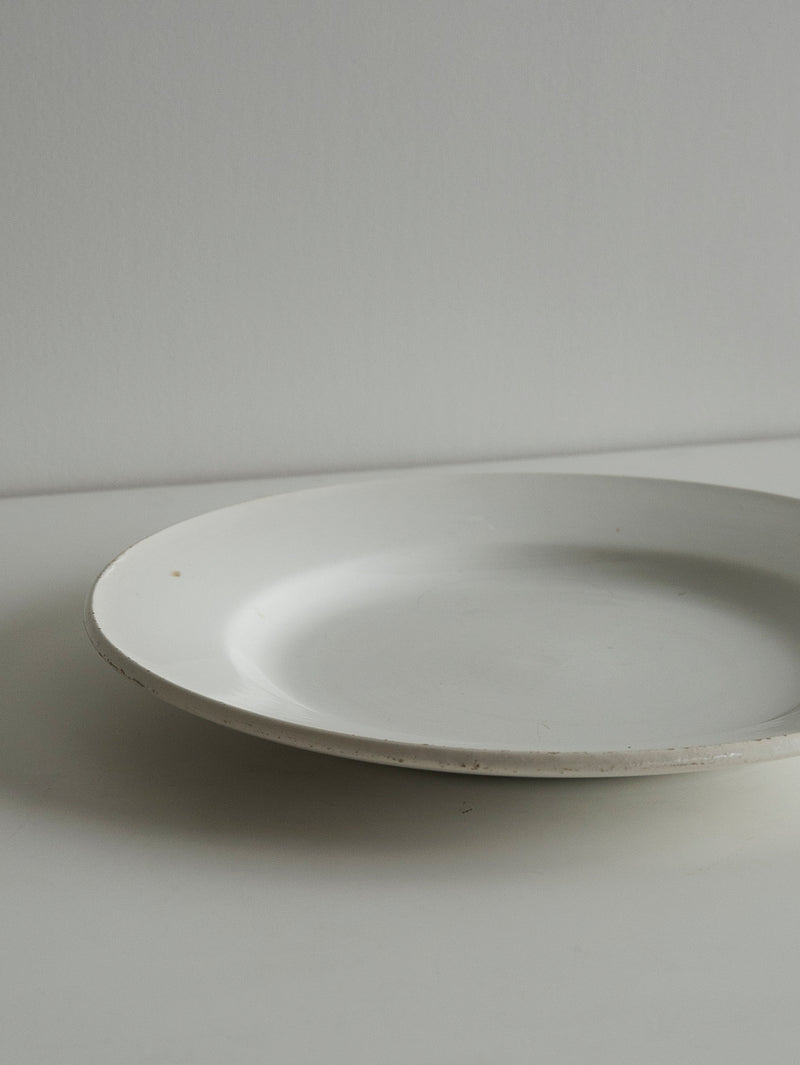 Digoin Sarreguemines “Plate 230mm”   #107