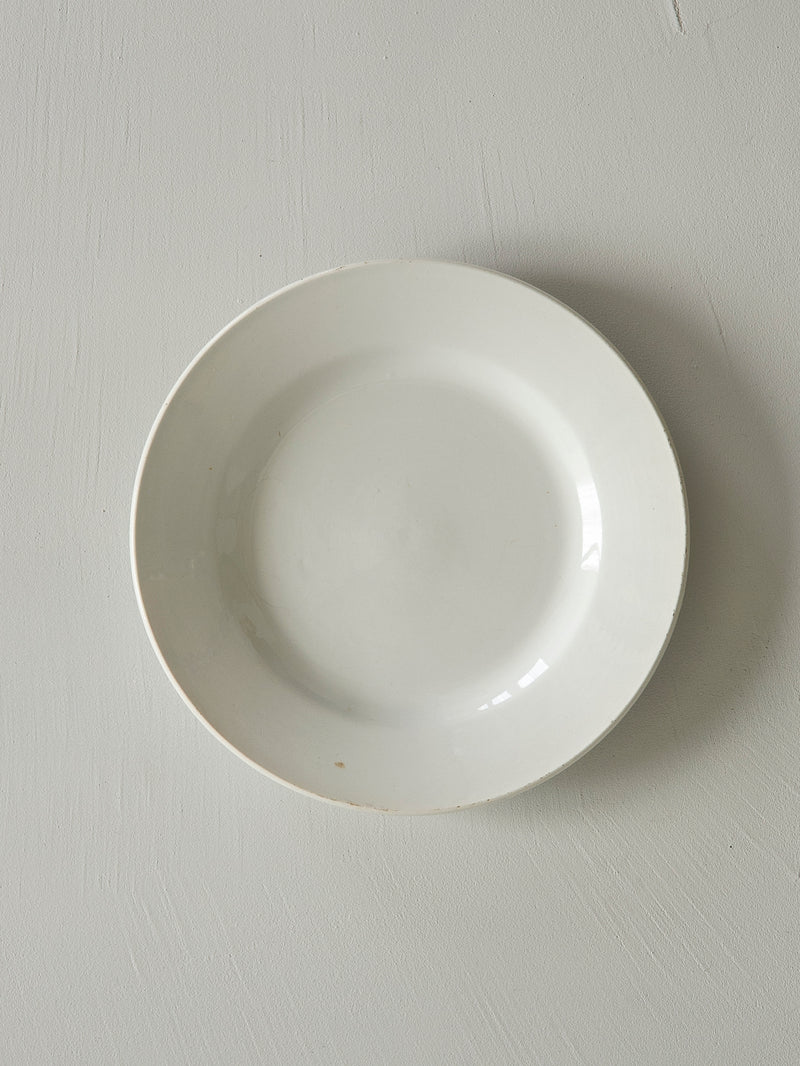 Digoin Sarreguemines “Plate 230mm”   #107