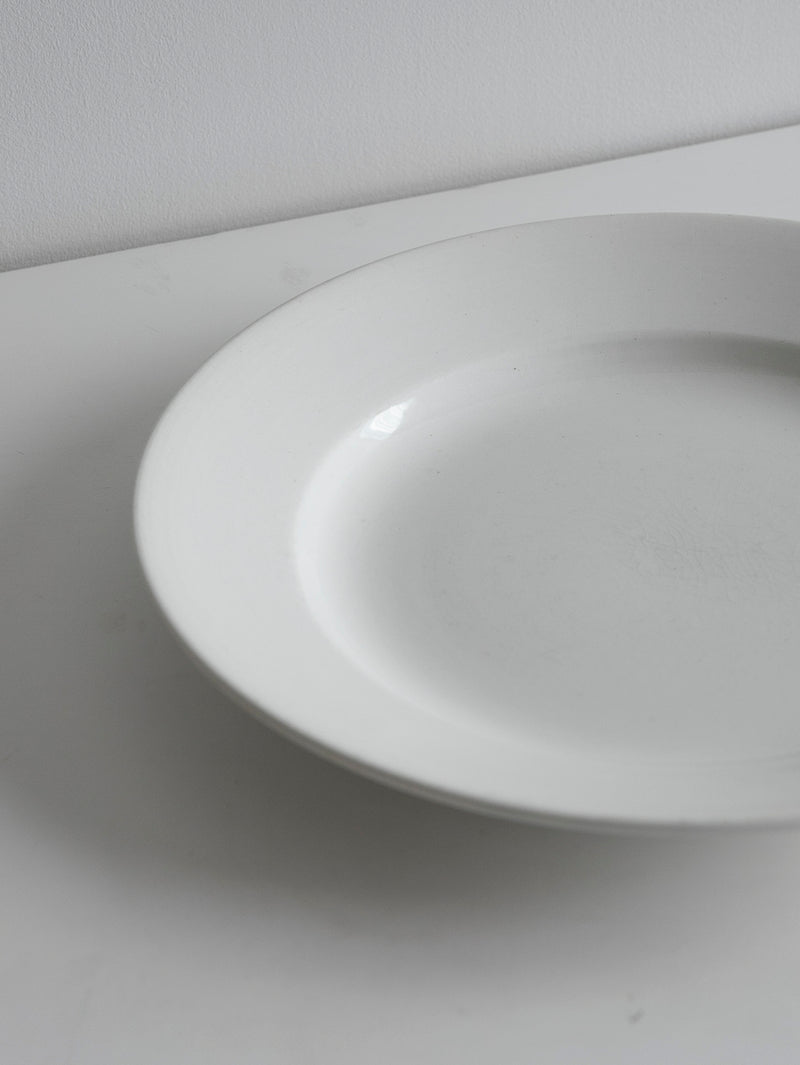 Digoin Sarreguemines “Plate 220mm”   #109