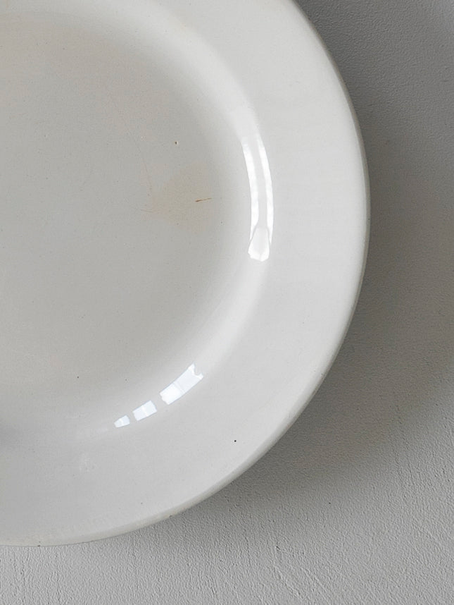 Digoin Sarreguemines “Plate 220mm”   #110
