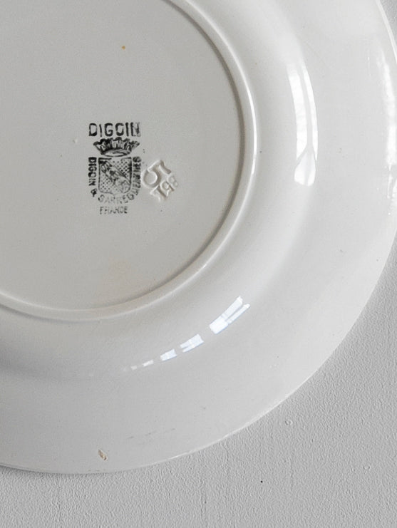 Digoin Sarreguemines “Plate 220mm”   #110