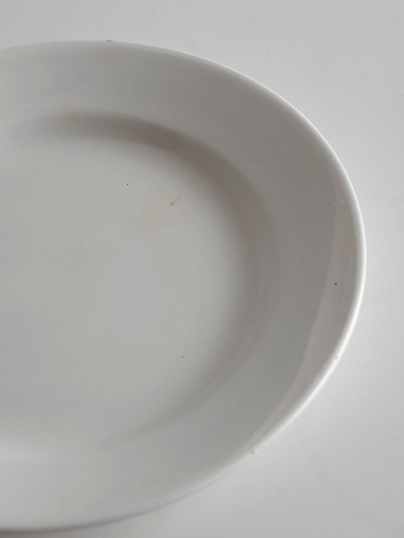 Digoin Sarreguemines “Plate 220mm”   #110